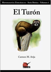 El turón