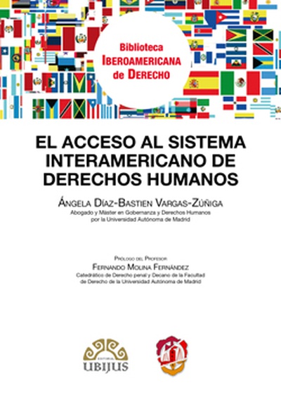 El acceso al sistema interamericano de Derechos Humanos