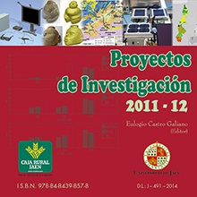 Proyectos de Investigación 2011-12