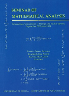 Seminar of Mathematical Analysis (2003-2004)