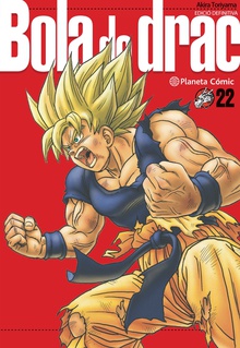 Bola de Drac Definitiva n. 22/34
