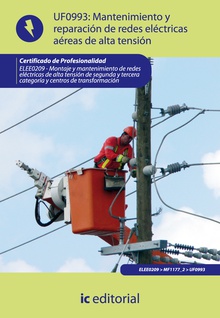 Mantenimiento y reparación de redes eléctricas aéreas de alta tensión. ELEE0209 - Montaje y mantenimiento de redes eléctricas de alta tensión de 2ª y 3ª categoría y centros de transformación