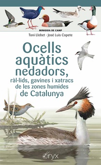 Ocells aquàtics nedadors, ràl·lids, gavines i xatracs de les zones humides de Catalunya