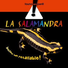 La salamandra