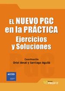 El nuevo PGC en la practica. Ebook