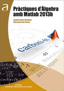 PRÀCTIQUES D'ÀLGEBRA AMB MATLAB 2013B