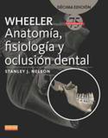 Wheeler. Anatomía, fisiología y oclusión dental (10ª ed.)