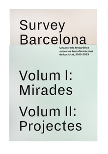 Survey Barcelona