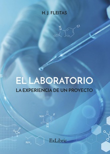 El laboratorio. La experiencia de un proyecto