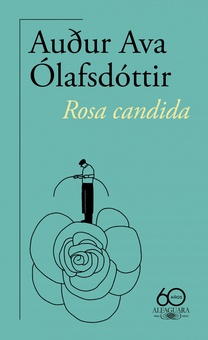 Rosa candida (60.º aniversario de Alfaguara)