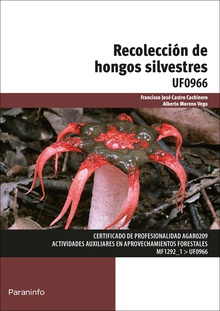 Recolección de hongos silvestres