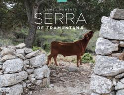 Serra de Tramuntana, llums i moments