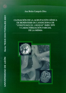 Clonación de la agrupación génica de biosíntesis de candicidina de "Streptomyces Griseus" IMRU 3570 y caracterización parcial de la misma