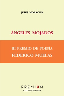 Ángeles mojados