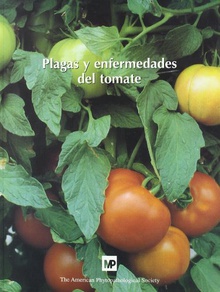 Plagas y enfermedades del tomate