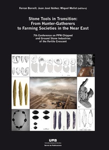Stone Tools in Transition: From Hunter-Gatherers to Farming Societies in the Near East