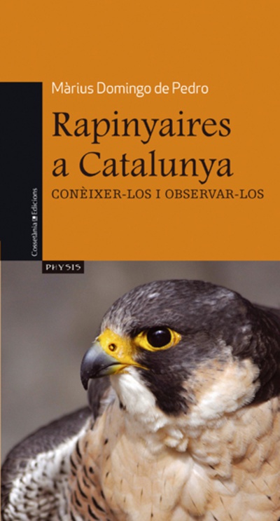 Rapinyaires a Catalunya