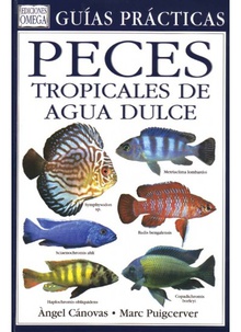 PECES TROPICALES DE AGUA DULCE