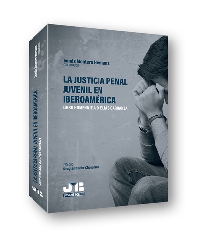 La justicia penal juvenil en Iberoamérica