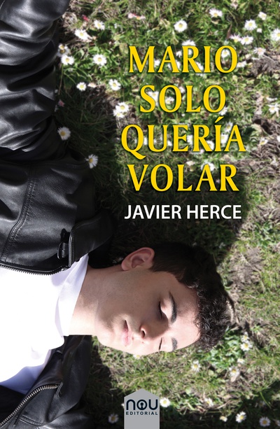 Mario solo quería volar