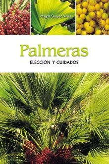 Palmeras - Elección y cuidados