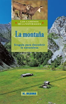 La montaña