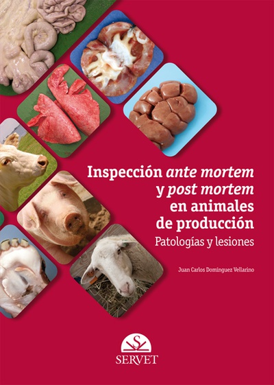 Inspección ante mortem y post mortem en animales de producción