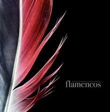 Flamencos