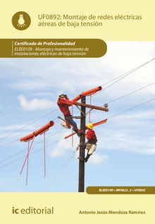 Montaje de redes eléctricas aéreas de baja tensión. ELEE0109 -  Montaje y mantenimiento de instalaciones eléctricas de Baja Tensión