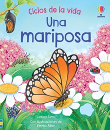 Una mariposa