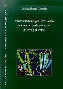 Variabilidad en el gen PRNP ovino y su relacion con la producción de leche y el scrapie (*)