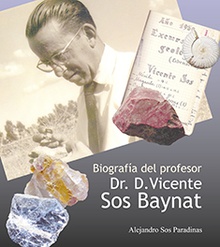 Biografía del profesor Dr. D. Vicente Sos Baynat.