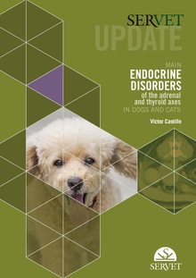 Servet update. Main endocrine disorders of the adrenal and thyroid axes in dogs and cats