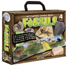 El curiós món dels fòssils
