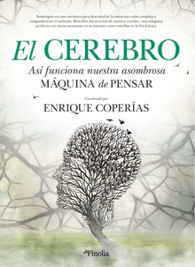 El cerebro.