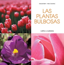 Las plantas bulbosas - Cultivo y cuidados