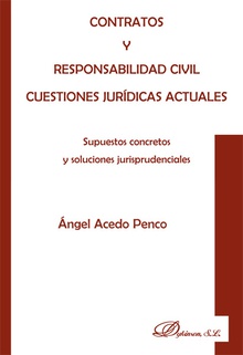 Contratos y responsabilidad civil. Cuestiones jur¡dicas actuales