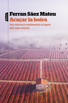 Acaçar la boira