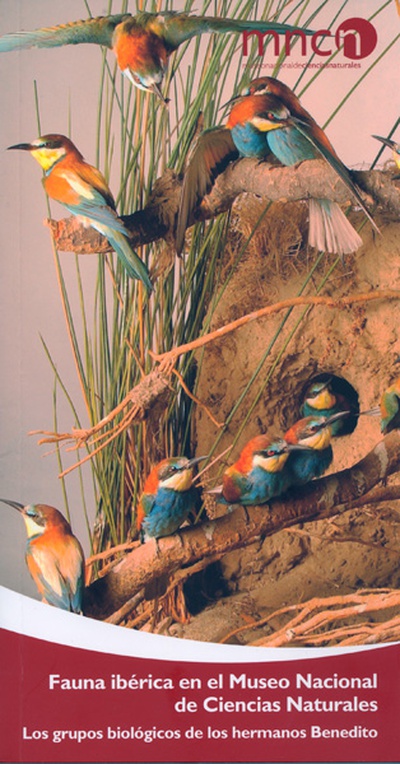 Fauna ibérica en el Museo Nacional de Ciencias Naturales : los grupos biológicos de los hermanos Benedito.