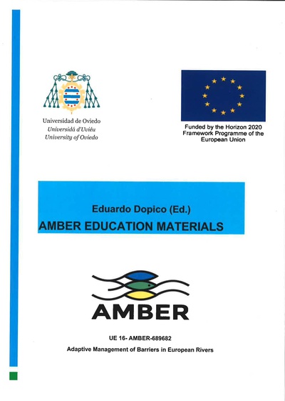 Amber education materials