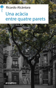 Una acàcia entre quatre parets
