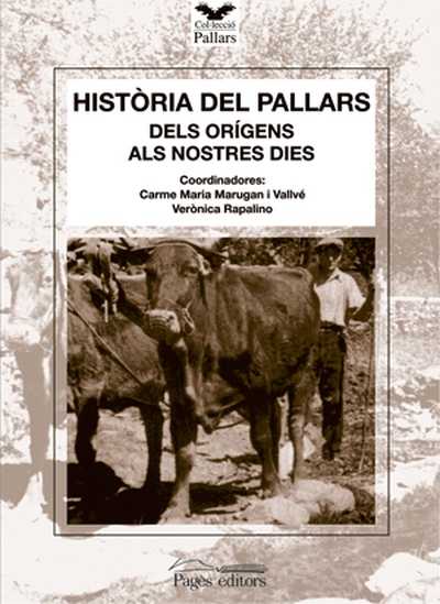Història del Pallars, dels orígens als nsotres dies