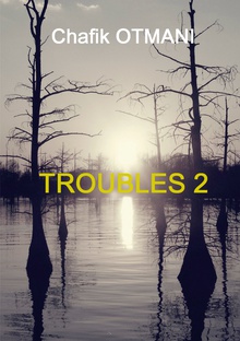 Troubles vol. 2