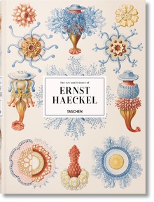 The Art and Science of Ernst Haeckel
