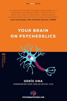 Your brain on psychedelics