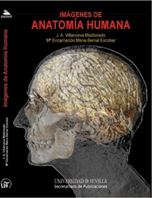 Imágenes de Anatomía Humana