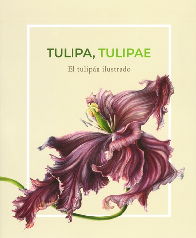 Tulipa tulipae : el tulipán ilustrado