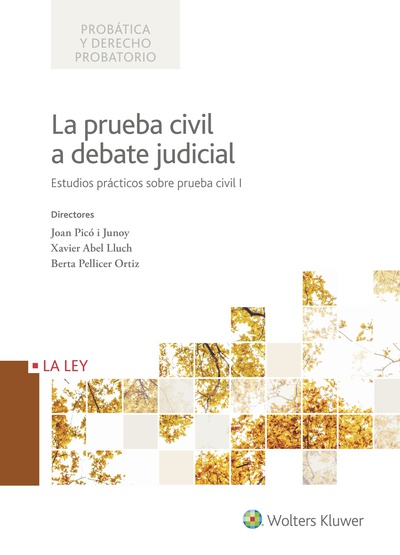 La prueba civil a debate judicial