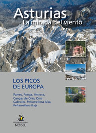 LIBRODVD14:ASTURIAS LA MIRADA DEL VIENTO Los Picos
