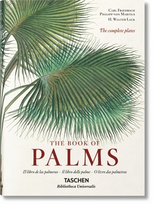 Martius. El libro de las palmeras
